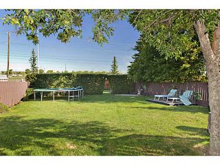 Photo 17: 907 WHITEHILL Way NE in Calgary: Whitehorn Residential Detached Single Family for sale : MLS®# C3634563