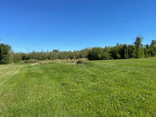 Photo 5: 50 Elie Street in Elie: Vacant Land for sale : MLS®# 202314638