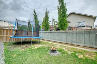 Photo 33: 146 Sagewood Drive SW: Airdrie Semi Detached for sale : MLS®# A1228502
