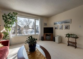 Photo 5: 4209 16 Street SW in Calgary: Altadore Semi Detached (Half Duplex) for sale : MLS®# A2034209