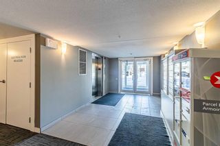 Photo 4: 3210 302 Skyview Ranch Drive NE in Calgary: Skyview Ranch Apartment for sale : MLS®# A2114702