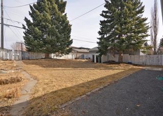 Photo 11: 2828 24 Street NW in Calgary: Banff Trail Detached for sale : MLS®# A1200473