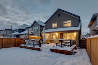 Photo 42: 33 Masters Place SE in Calgary: Mahogany Detached for sale : MLS®# A1184200