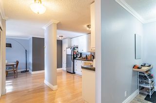 Photo 11: 5 616 24 Avenue SW in Calgary: Cliff Bungalow Apartment for sale : MLS®# A2022586