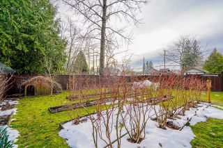 Photo 38: 35238 FIRDALE Avenue in Abbotsford: Abbotsford East House for sale : MLS®# R2643644