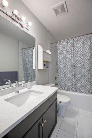Photo 34: 14 Coral Springs Gardens NE in Calgary: Coral Springs Detached for sale : MLS®# A1224849