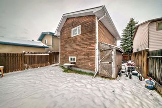 Photo 28: 1028 Mckinnon Drive NE in Calgary: Mayland Heights Detached for sale : MLS®# A2127341