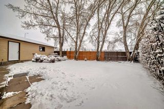 Photo 31: 436 Dalmeny Hill NW in Calgary: Dalhousie Detached for sale : MLS®# A2121438