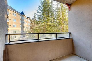Photo 11: 235 10 Discovery Ridge Close SW in Calgary: Discovery Ridge Apartment for sale : MLS®# A2092261