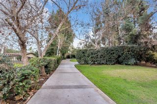 Photo 74: MOUNT HELIX House for sale : 5 bedrooms : 4685 Alta Rica Dr in La Mesa