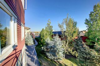 Photo 22: 231 23 Millrise Drive SW in Calgary: Millrise Apartment for sale : MLS®# A2005339