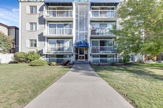 Photo 1: 301 126 24 Avenue SW in Calgary: Mission Apartment for sale : MLS®# A1203016