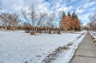 Photo 41: 289 Capri Avenue NW in Calgary: Brentwood Detached for sale : MLS®# A2021584