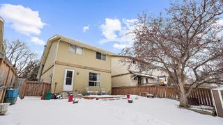 Photo 35: 300 Berwick Drive NW in Calgary: Beddington Heights Detached for sale : MLS®# A2118693