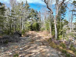 Photo 3: New Grafton Road in New Grafton: 406-Queens County Vacant Land for sale (South Shore)  : MLS®# 202406944