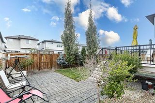 Photo 37: 99 Panton Link NW in Calgary: Panorama Hills Detached for sale : MLS®# A2085335