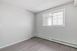 Photo 12: 3422 10 Prestwick Bay SE in Calgary: McKenzie Towne Apartment for sale : MLS®# A2022961