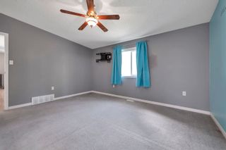 Photo 11: : Rural Wetaskiwin County House for sale : MLS®# E4342259