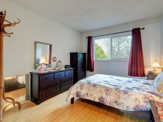 Photo 10: 704 Daisy Ave in Saanich: SW Marigold Half Duplex for sale (Saanich West)  : MLS®# 919868