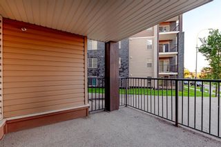 Photo 22: 119 7180 80 Avenue NE in Calgary: Saddle Ridge Apartment for sale : MLS®# A1238113