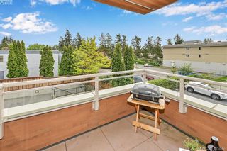 Photo 14: 207 7161 West Saanich Rd in BRENTWOOD BAY: CS Brentwood Bay Condo for sale (Central Saanich)  : MLS®# 839136
