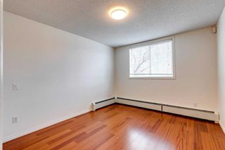 Photo 15: 105 2419 Erlton Road SW in Calgary: Erlton Apartment for sale : MLS®# A2126479