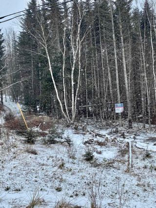Photo 3: Lot 23 Jorphie Drive in East Uniacke: 105-East Hants/Colchester West Vacant Land for sale (Halifax-Dartmouth)  : MLS®# 202203099