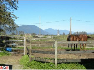 Photo 9: 38916 OLD YALE Road in Abbotsford: Sumas Prairie House for sale in "ARNOLD" : MLS®# F1029038