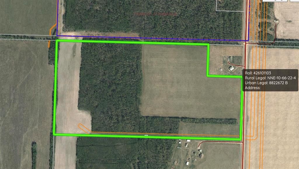 Main Photo: Part of NE-10-66-22-W4: Rural Athabasca County Residential Land for sale : MLS®# A2035543