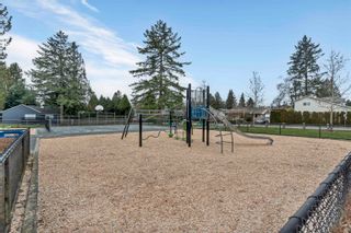 Photo 28: 209 12040 222 Street in Maple Ridge: West Central Condo for sale : MLS®# R2848289