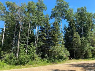 Photo 4: 1 Laurie Place in Emma Lake: Lot/Land for sale : MLS®# SK902069