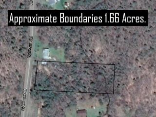Photo 3: Lot Lighthouse Road in Bay View: 401-Digby County Vacant Land for sale (Annapolis Valley)  : MLS®# 202106948