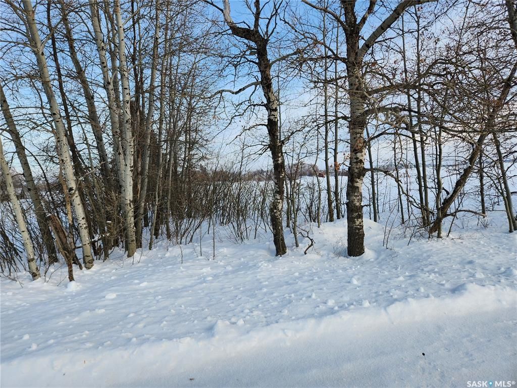 Main Photo: 317 98th Street in Tisdale: Lot/Land for sale : MLS®# SK917099
