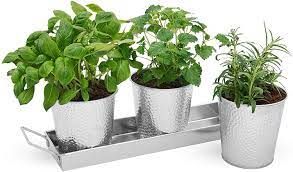 Herbs For Your Garden