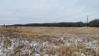Photo 4: 0 Three Mile Road: St Clements Vacant Land for sale (R02)  : MLS®# 202118307