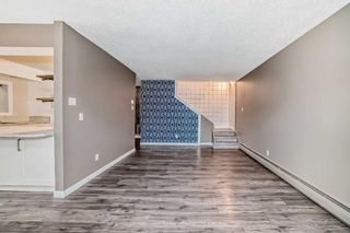 Photo 22: 114 6919 Elbow Drive SW in Calgary: Kelvin Grove Apartment for sale : MLS®# A2129812