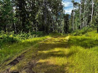 Photo 25: DL 1132 TELKWA HIGH Road in Smithers: Smithers - Rural Land for sale (Smithers And Area)  : MLS®# R2708512