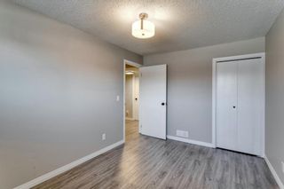 Photo 44: 3812 49 Street NE in Calgary: Whitehorn Detached for sale : MLS®# A1054455