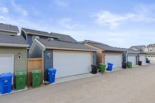 Photo 32: 104 Evansborough Common NW in Calgary: Evanston Detached for sale : MLS®# A2124622