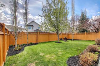 Photo 48: 10823 Valley Springs Road NW in Calgary: Valley Ridge Detached for sale : MLS®# A1107502