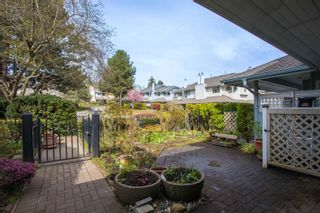 Photo 37: 250 WATERLEIGH Drive in Vancouver: Marpole Townhouse for sale in "THE SPRINGS" (Vancouver West)  : MLS®# R2869095