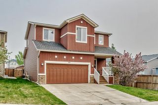 Photo 48: 100 WEST CREEK Green: Chestermere Detached for sale : MLS®# A2050657