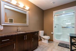 Photo 18: 418 Dumaine Road in Ile Des Chenes: R07 Residential for sale : MLS®# 1903090