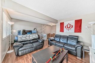 Photo 5: 1709 50 Street SE in Calgary: Forest Lawn Semi Detached (Half Duplex) for sale : MLS®# A2115014