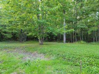 Photo 4: 1005 Alma Road in Sylvester: 108-Rural Pictou County Residential for sale (Northern Region)  : MLS®# 202222347