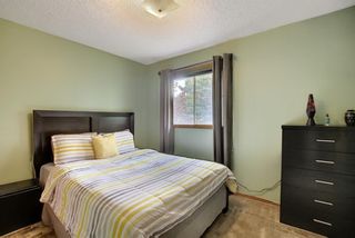 Photo 24: 172 Edendale Way NW in Calgary: Edgemont Detached for sale : MLS®# A1133694