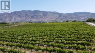 Photo 12: 4401 107TH Street, in Osoyoos: Agriculture for sale : MLS®# 199571