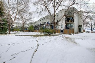 Photo 36: 216 3615B 49 Street NW in Calgary: Varsity Apartment for sale : MLS®# A1209708