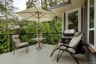 Photo 29: 393 Pelican Dr in VICTORIA: Co Royal Bay House for sale (Colwood)  : MLS®# 811978
