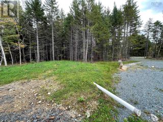 Photo 4: 554 Mount Pleasant Road in Mount Pleasant: Vacant Land for sale : MLS®# 202322481